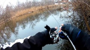 Мормышинг с Dayo Liropus 185  0.2-0.8 гр. Первые впечатления.