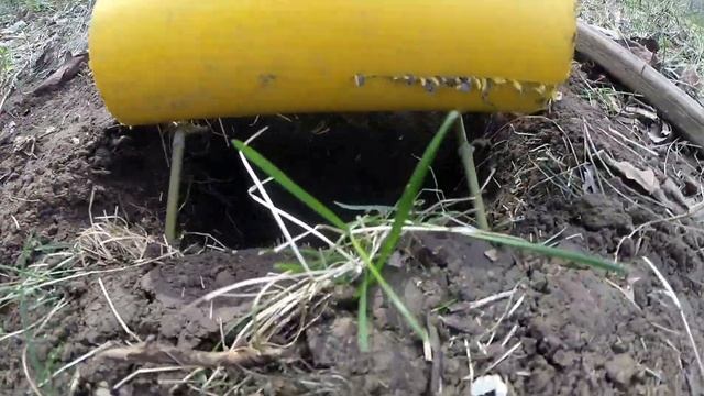 Я был в шоке от такой ловушки на куницу и Ласку |КАК ПОЙМАТЬ КУНИЦУ смотреть онлайн