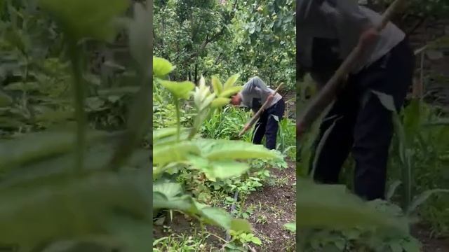«Ни один отец не может подарить своему ребенку ничего более ценного, чем хорошее воспитание» смотреть онлайн