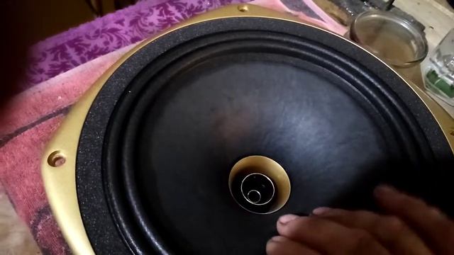Приготлвление динамиков TANNOY.... Соль перец по вкусу смотреть онлайн