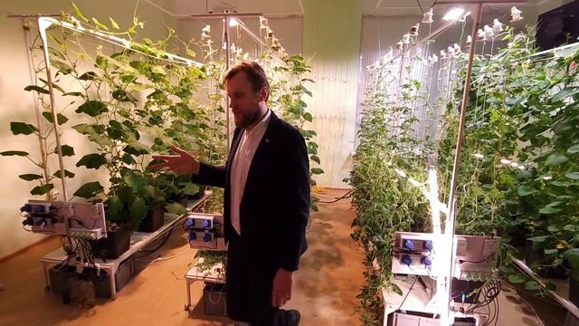 Review on LuxaVita and Light Spectrum Control | Roman Rybakov | Photonics World of Lasers and Optic смотреть онлайн