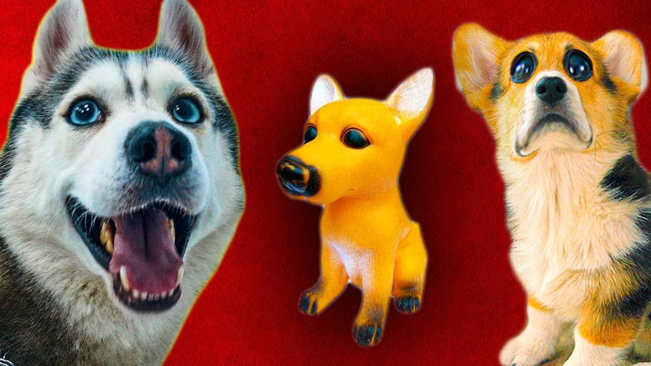 БАНДИТ ВЛЮБИЛСЯ В РЕЗИНОВУЮ СОБАКУ!! (Корги Кекс) Говорящая собака смотреть онлайн