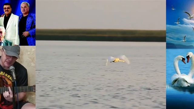 КЛЁН Синяя птица. СТАЯ ЛЕБЕДЕЙ Ру Ра автопилот смотреть онлайн