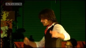 Flamenco Show | Tablao Flamenco El Palacio Andaluz