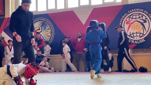 Чемпионат Области по Араши ММА