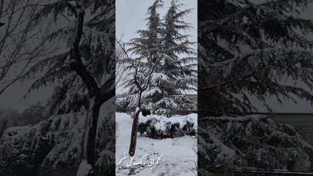 Life Is Not A Game Of Luck. If You Want To Win, Work Hard.