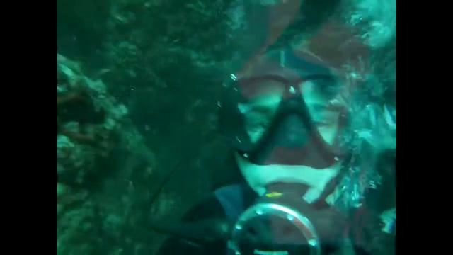 Montenegro diving смотреть онлайн