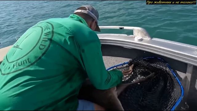 Парень хотел снять океан на видео, но тут случилось НЕОЖИДАННОЕ