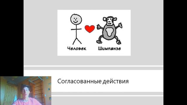 ЭТА КНИГА ИЗМЕНИТ ТВОЮ ЖИЗНЬ. Парадокс шимпанзе. Менеджмент мозга смотреть онлайн