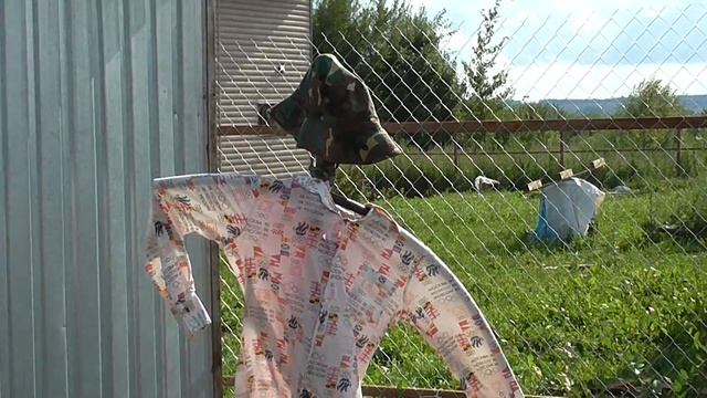 Сорока ворует яйца из курятника, что делать смотреть онлайн