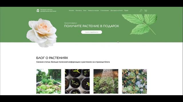 Дизайн сайта для питомника растений в Челябинске. смотреть онлайн
