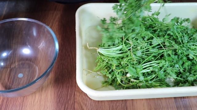 बिना फ्रिज़ के एक साल तक स्टोर करें हरा धनिया पत्ती। How to store Coriander leaves for months? смотреть онлайн