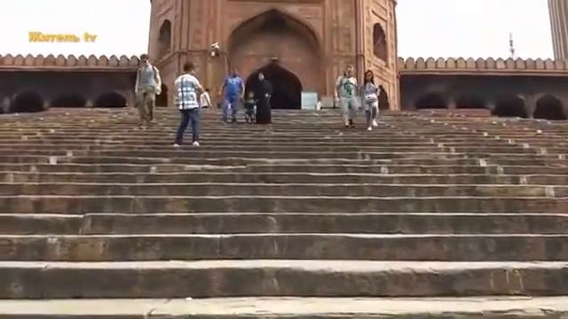 Ведизм – это не религия и не культ смотреть онлайн