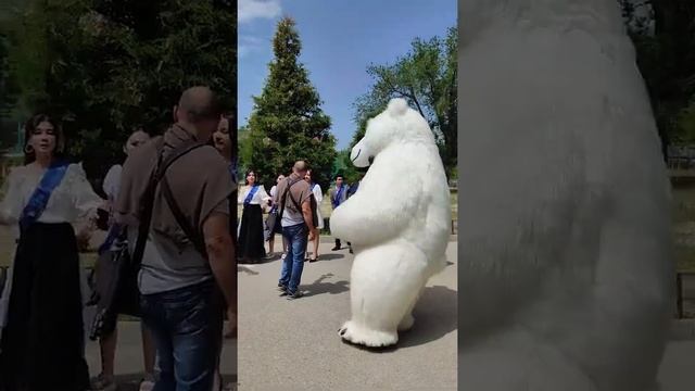 Белый мишка. Последний звонок. 23 школа 11б класс. смотреть онлайн