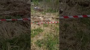 Кардинал 6.35 пули  regular 2 g. ?