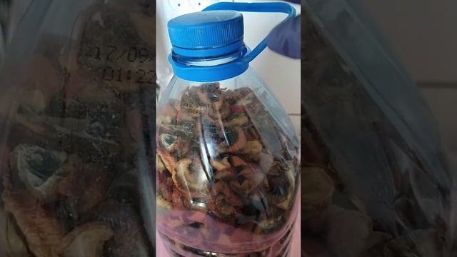 Лучший способ хранения сухофруктов без моли смотреть онлайн