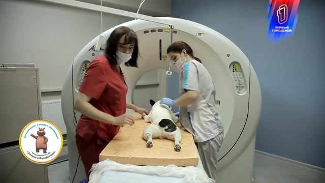 Захаров и Фарафонтова смотреть онлайн