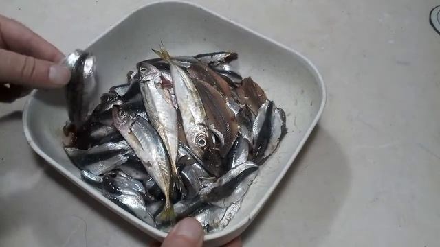 Золотая коллекция рецептов Одесской кухни. Биточки из тюльки и тюлька малосольная.. смотреть онлайн