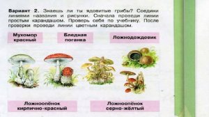 Окружающий мир. Рабочая тетрадь 3 класс 2 часть. ГДЗ стр. 14 №2