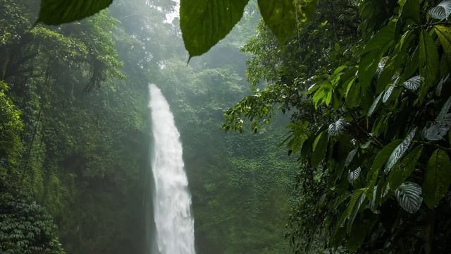 Relaxing Music For Stress Relief, Calm, Study  Beautiful Nature & Water Sounds