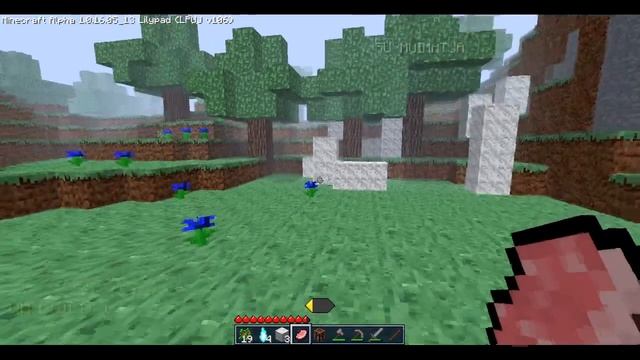 The Most Secret Minecraft Version? - Minecraft Alpha 1.0.16.05_13 (Lilypad QA) смотреть онлайн