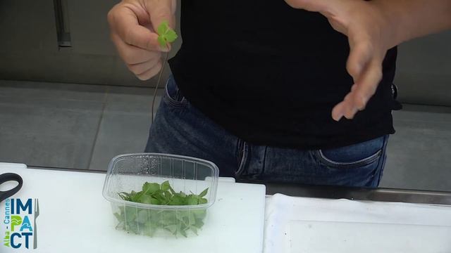 Enrico Crippa - Insalata 21, 31, 41, 51 - Approfondimento sugli ingredienti смотреть онлайн