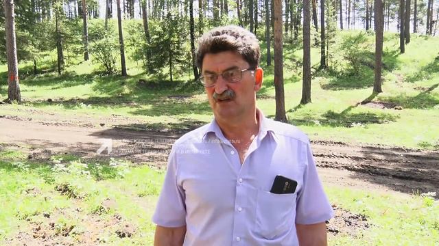 «Народный контроль» будет наблюдать за работами в лесных массивах Златоуста смотреть онлайн
