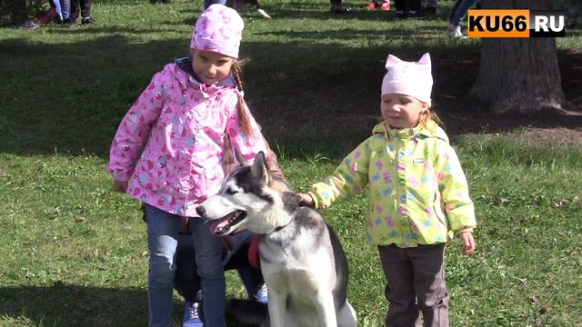 Фотосессия с хаски смотреть онлайн