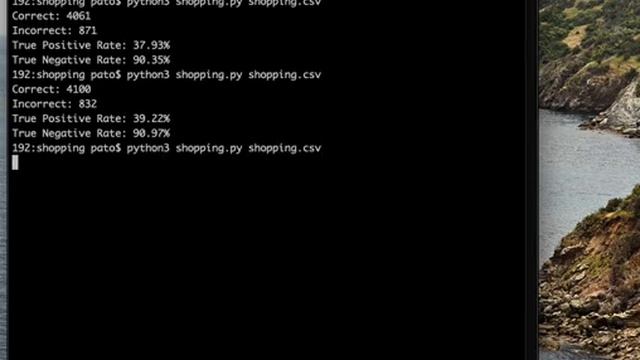 CS50 AI with Python Shopping Project смотреть онлайн