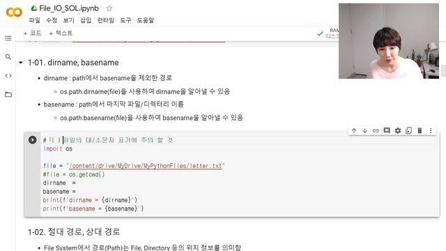 [PYTHON][FileIO_02] dirname, basename, 절대 경로, 상대 경로 смотреть онлайн
