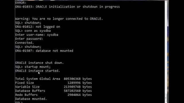 Starting Oracle Instance смотреть онлайн