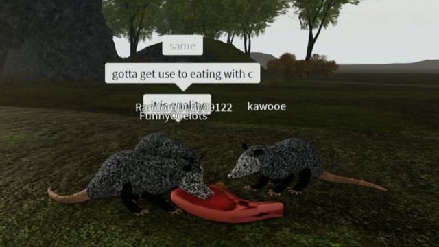 Animal Survival Games - Ludi's old games + Wild Forest Gameplay ROBLOX смотреть онлайн
