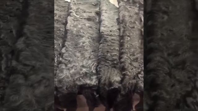 Каракуль афганский крашеный Графит смотреть онлайн