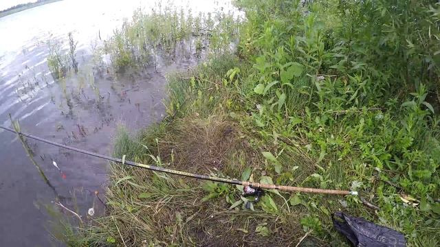 Караси на президентском пруду... 01 07 2017 смотреть онлайн