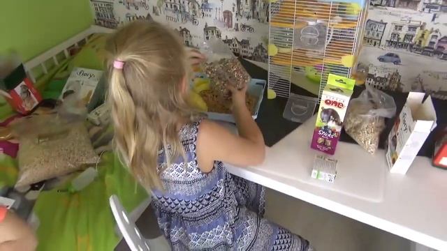 Наши домашние животные Мы купили грызунов Наше первое видео про животных смотреть онлайн