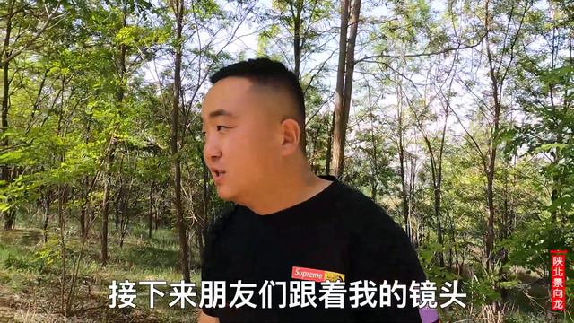 延安二郎山和川藏线上的有啥不同？因何而得名？黄土高坡绿意盎然【陕北景向龙】 смотреть онлайн