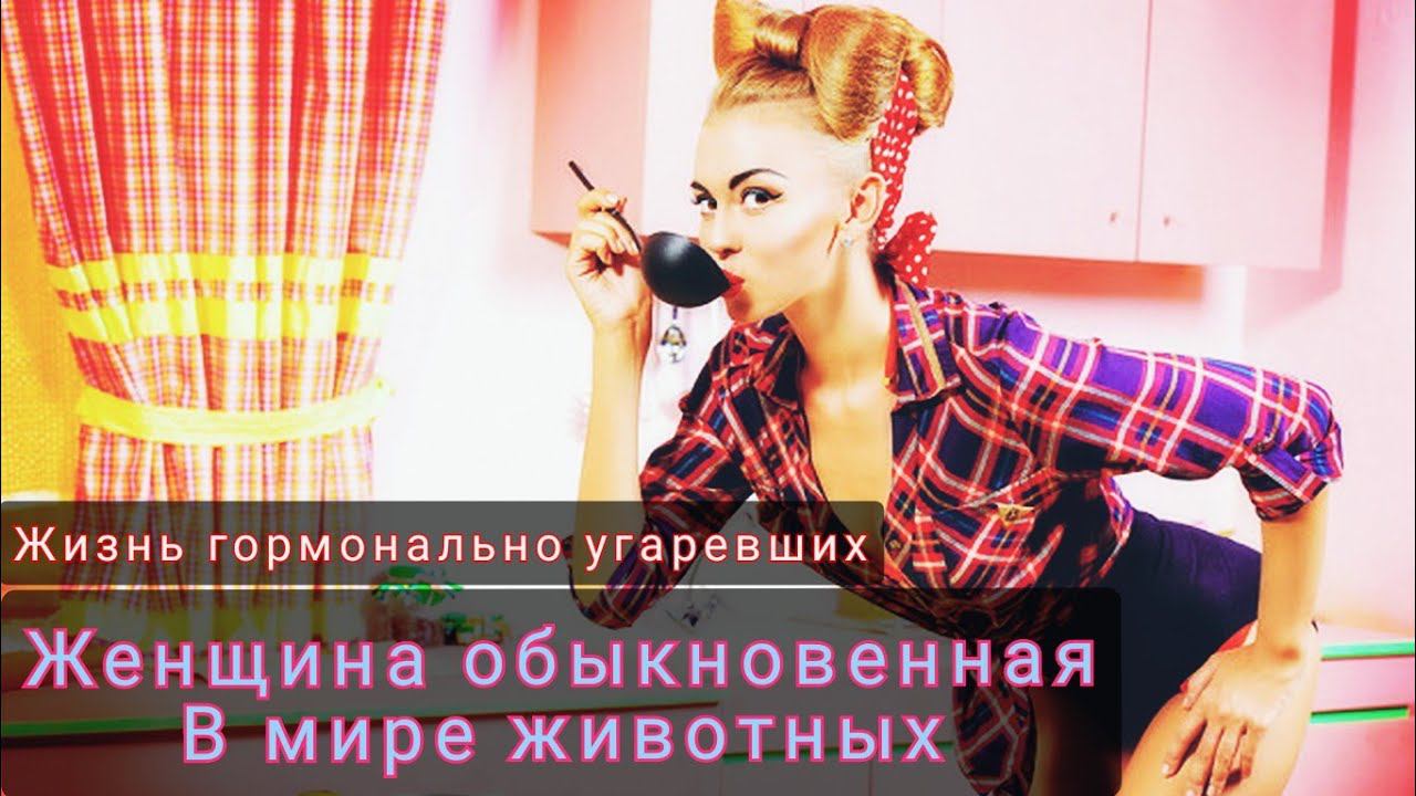 Круговорот "Клуш" в природе или образ жизни отверстия общего пользования смотреть онлайн