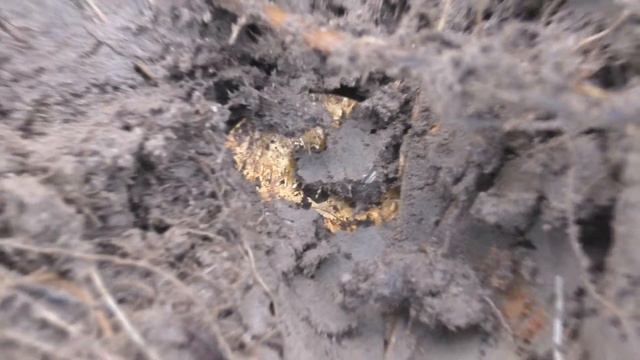 Коми-КОП: по старым деревням!!! в этот раз взял с собой младшего сына. смотреть онлайн