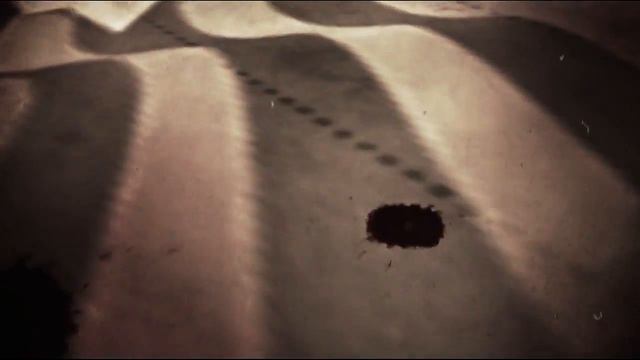 Поздравляю С Днем Победы! 70 летие Победы! Бесплатный футаж смотреть онлайн