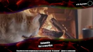 Columbia — «Кот и ноутбук» в 8х быстрее | PRO Рекламу