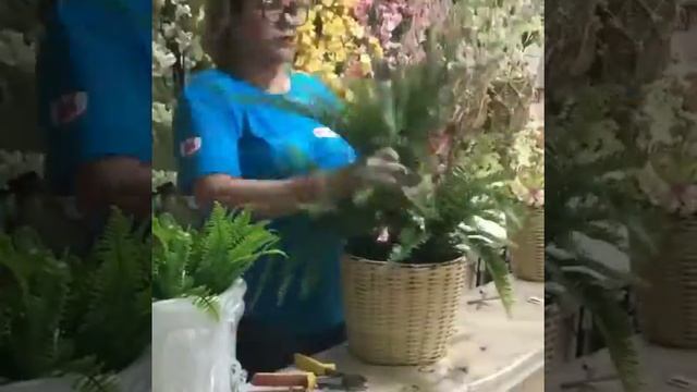 Arranjo de Planta смотреть онлайн