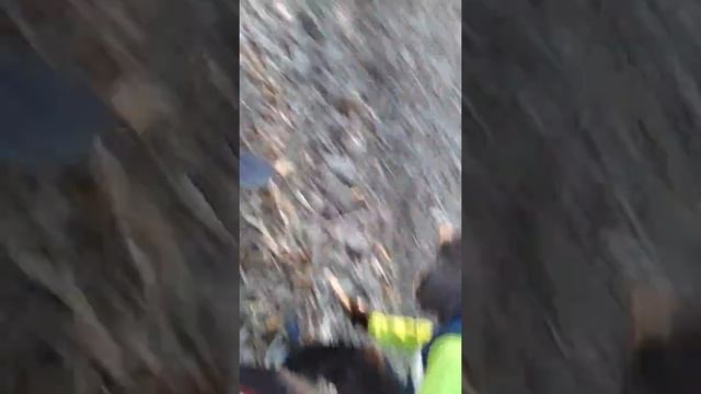 Passione metal detector #3 Teknetics alpha 2000 смотреть онлайн