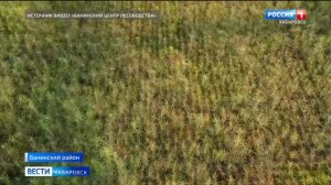 Один из крупнейших комплексов лесовосстановления в стране наращивает мощности