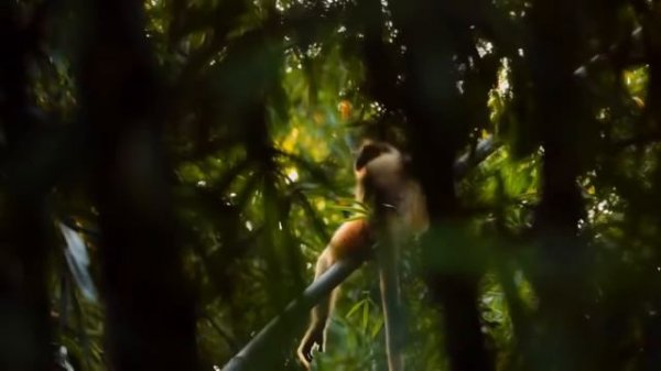 Природа Индии!