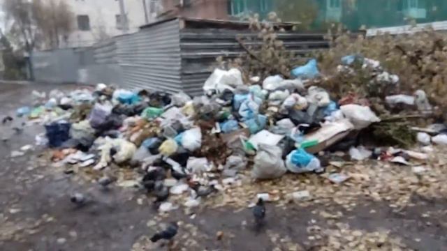 Как работают местами коммунальные службы Омска 50 лет профсоюза 59 а смотреть онлайн