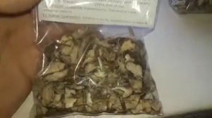 Диоскорея кавказская купить