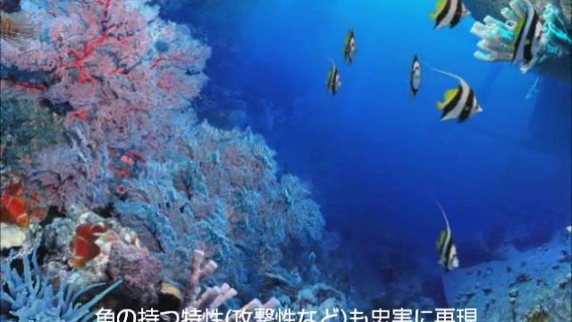 DigiFish Aqua Real 2 (デジフィッシュ アクアリアル 2) スクリーンセーバー смотреть онлайн