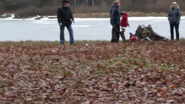 Прогулка в Терлецком парке-1. смотреть онлайн