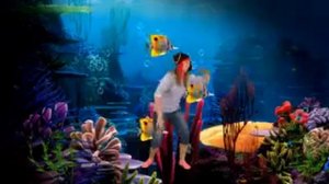 А рыбы в море плавают вот так