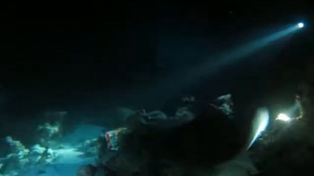 MVI 3304 ночная съемка скат и каранкс хорошая смотреть онлайн